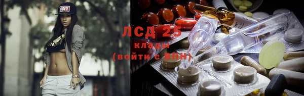 шишки Бронницы