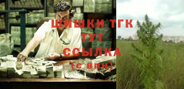 амф Бородино