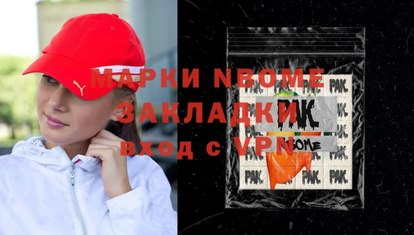 амф Бородино